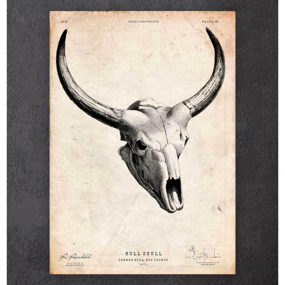 Bull Skull Print