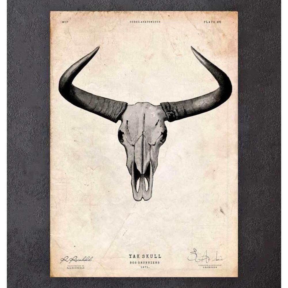Yak Skull Print