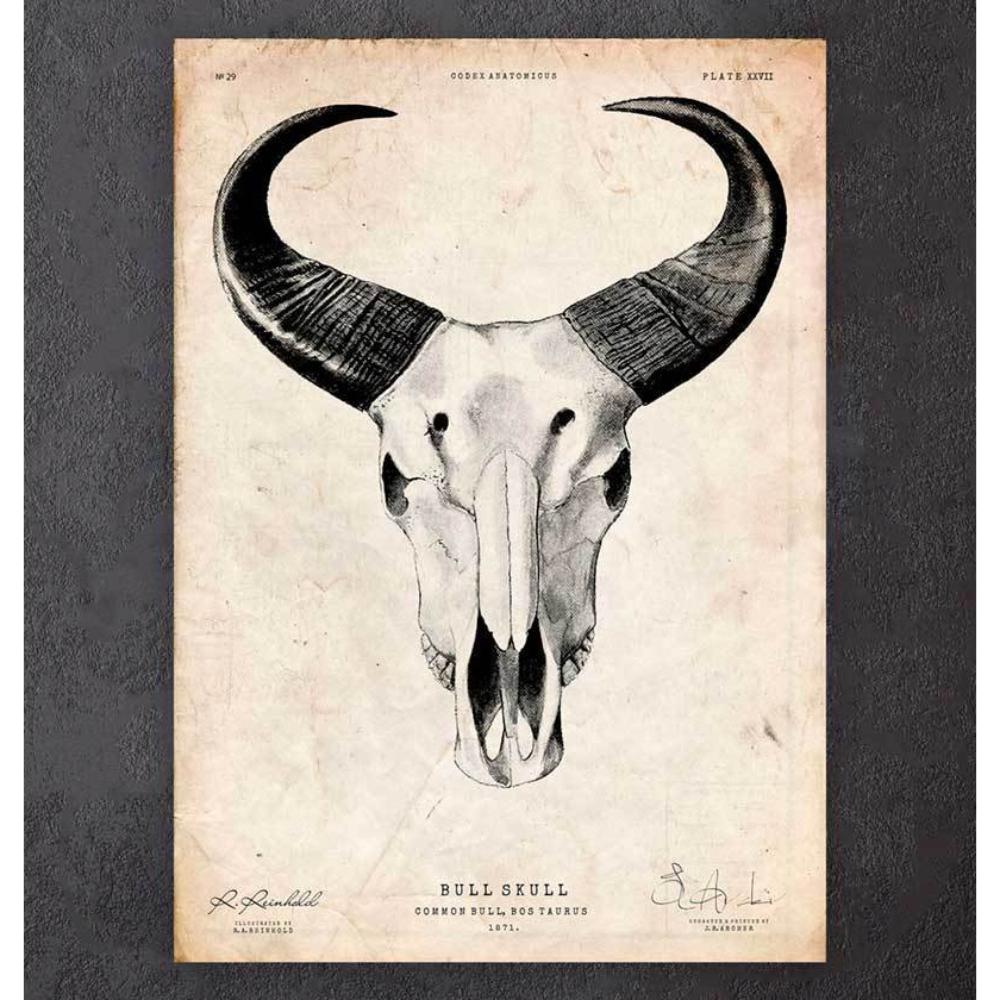 Bull Skull Print II