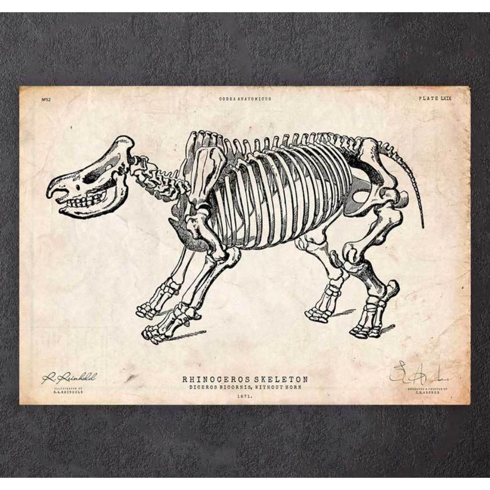Rhino Skeleton Print