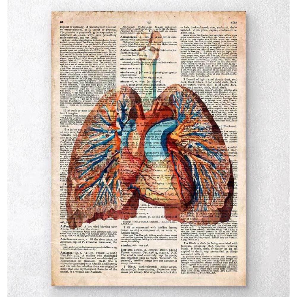 Geometric Heart And Lungs Old Dictionary Page