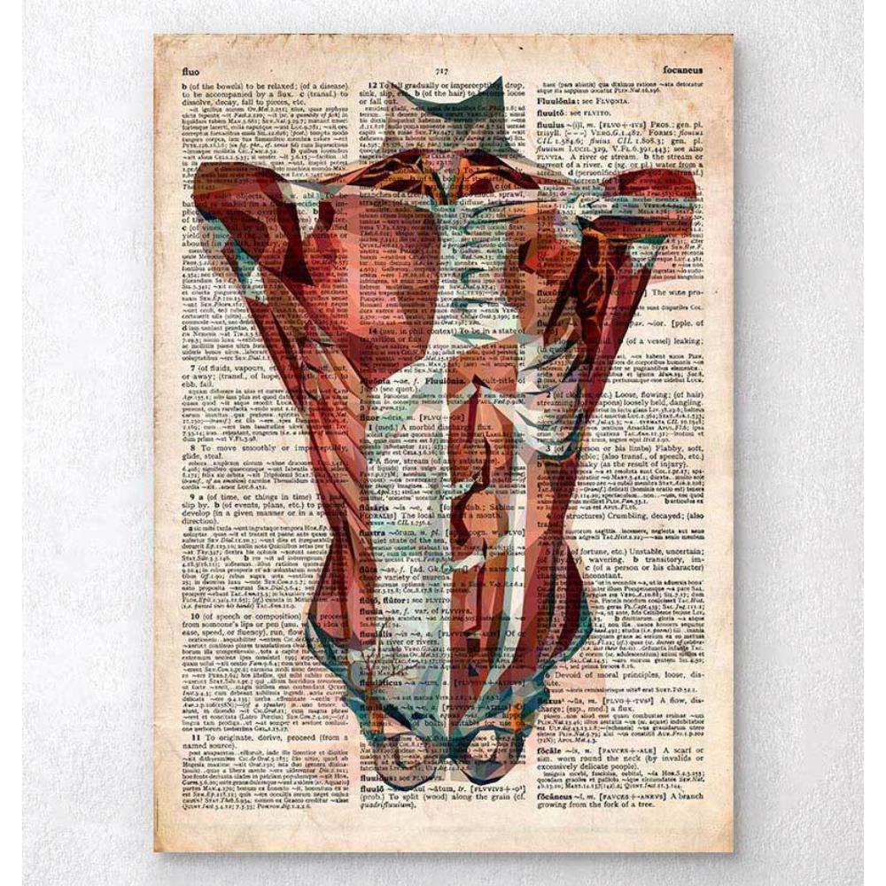 Human Torso Anatomy Old Dictionary Page