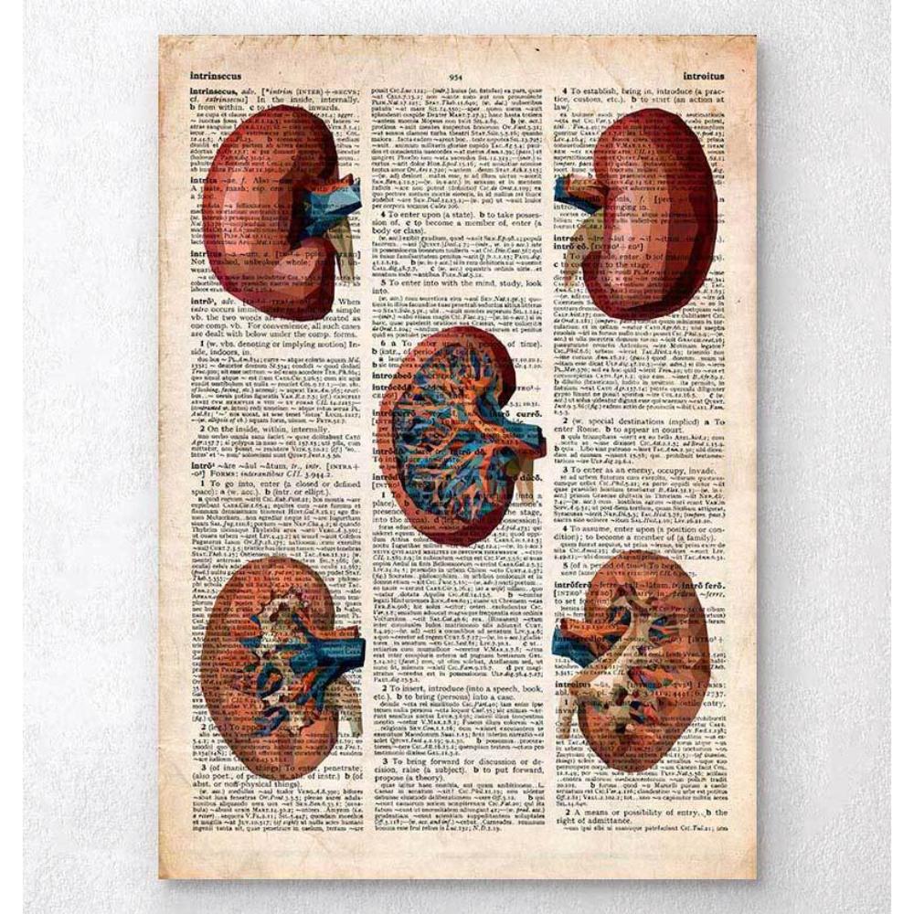 Geometric Kidney Old Dictionary Page
