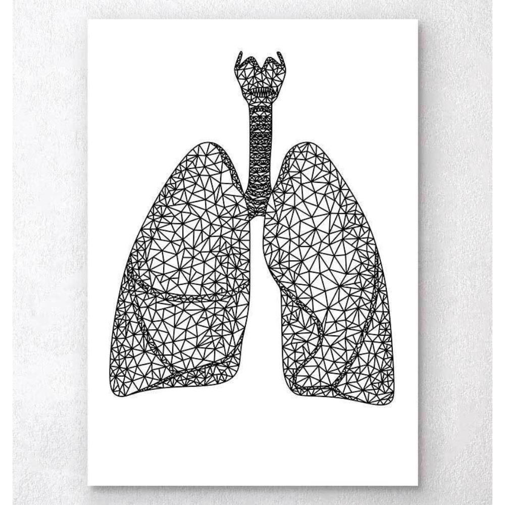 Minimal Geometric Lungs