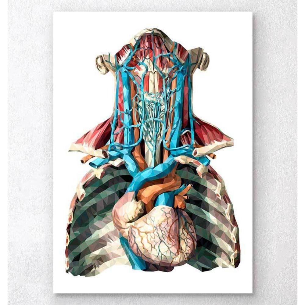 Geometric Heart And Arteries