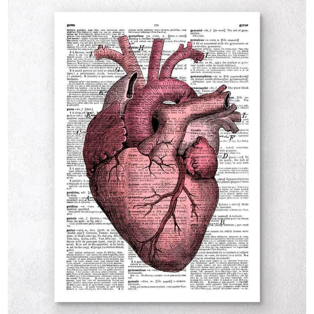 Heart Anatomy III Dictionary Page