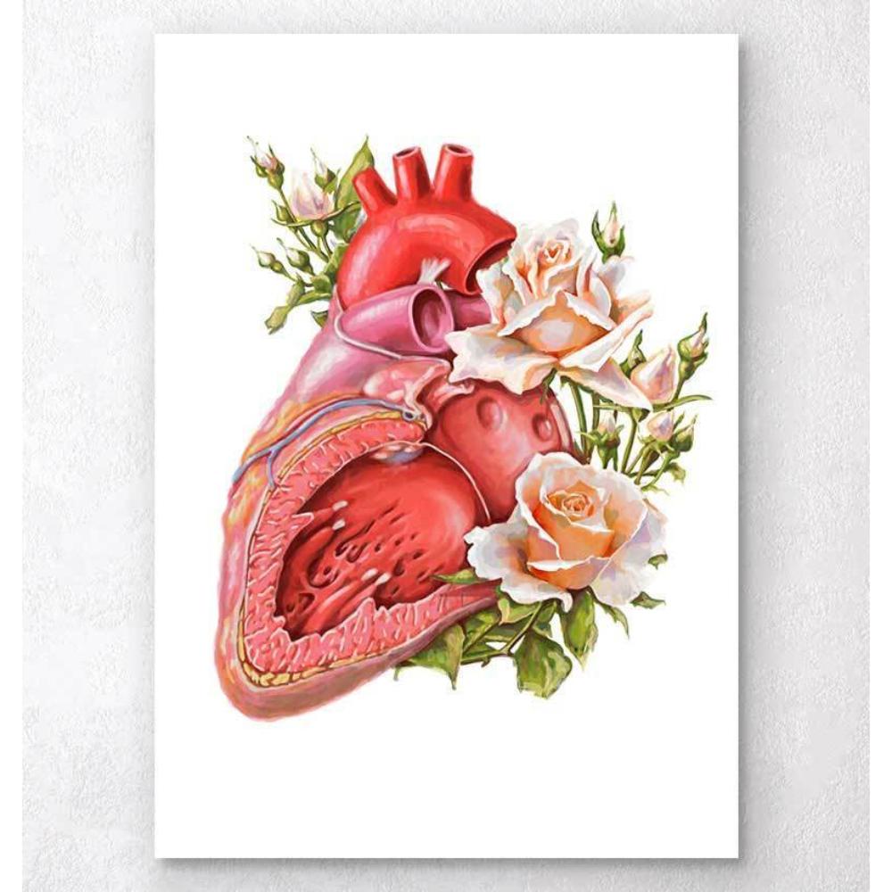 Heart Anatomy Floral White