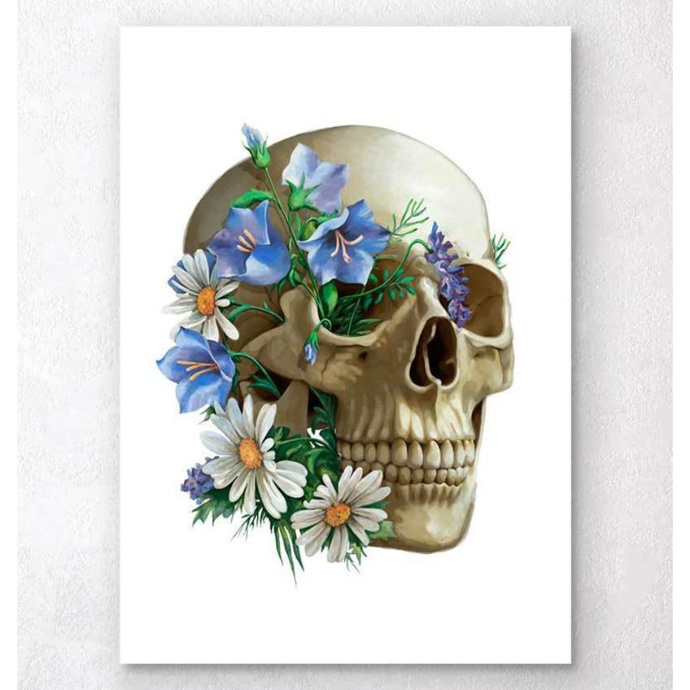 Skull Anatomy Floral White