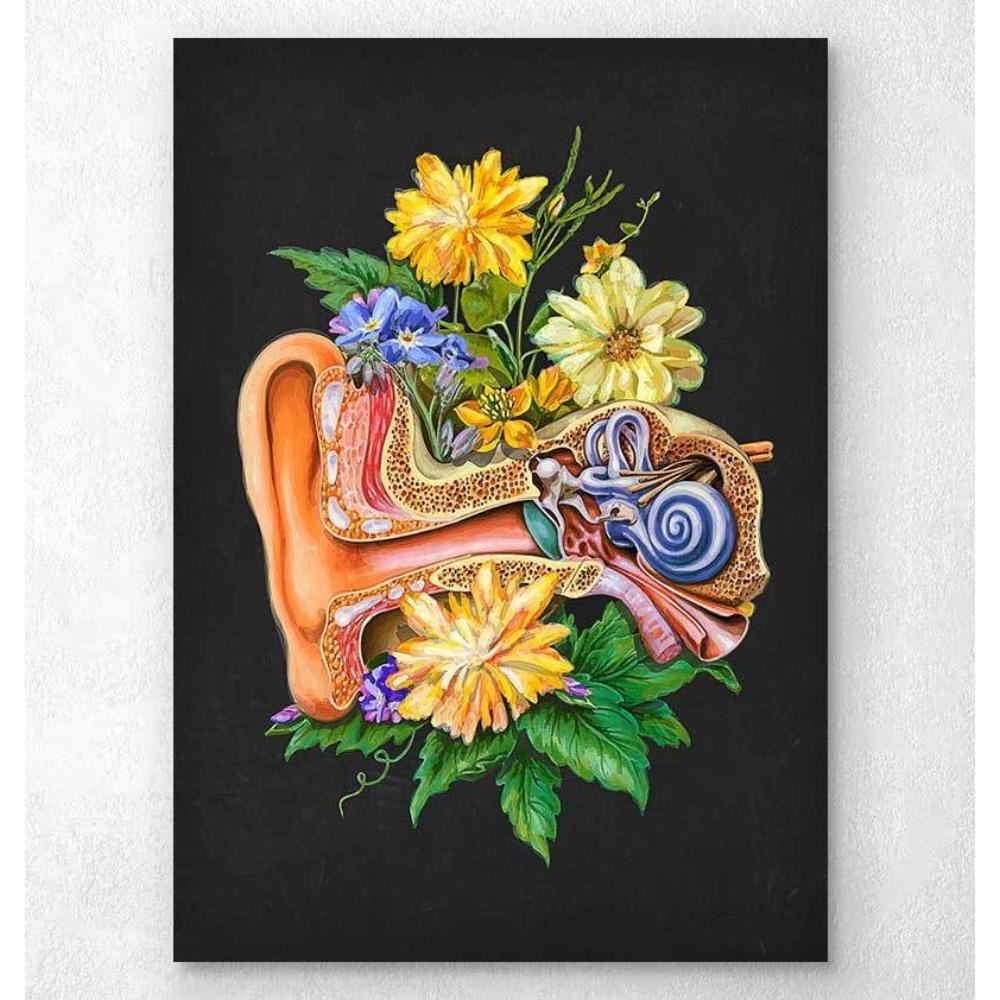 Ear Anatomy Floral Black