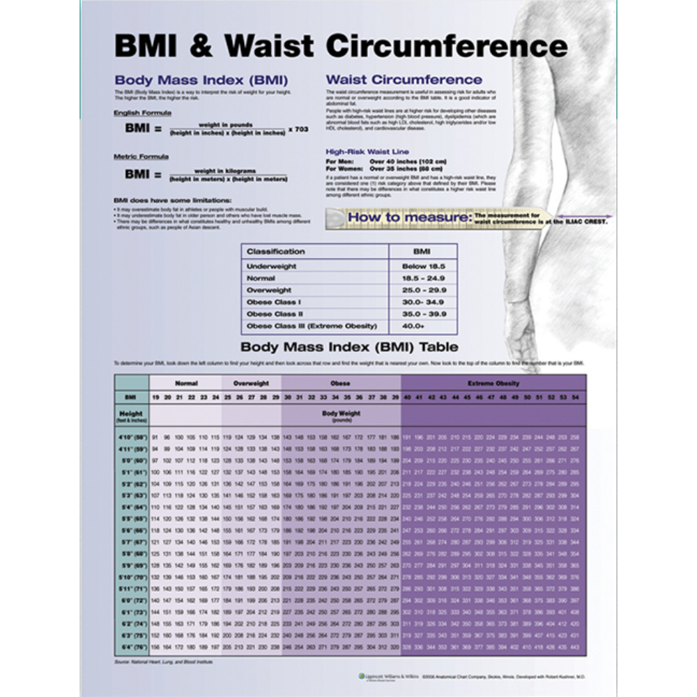 BMI and Waist Circumference