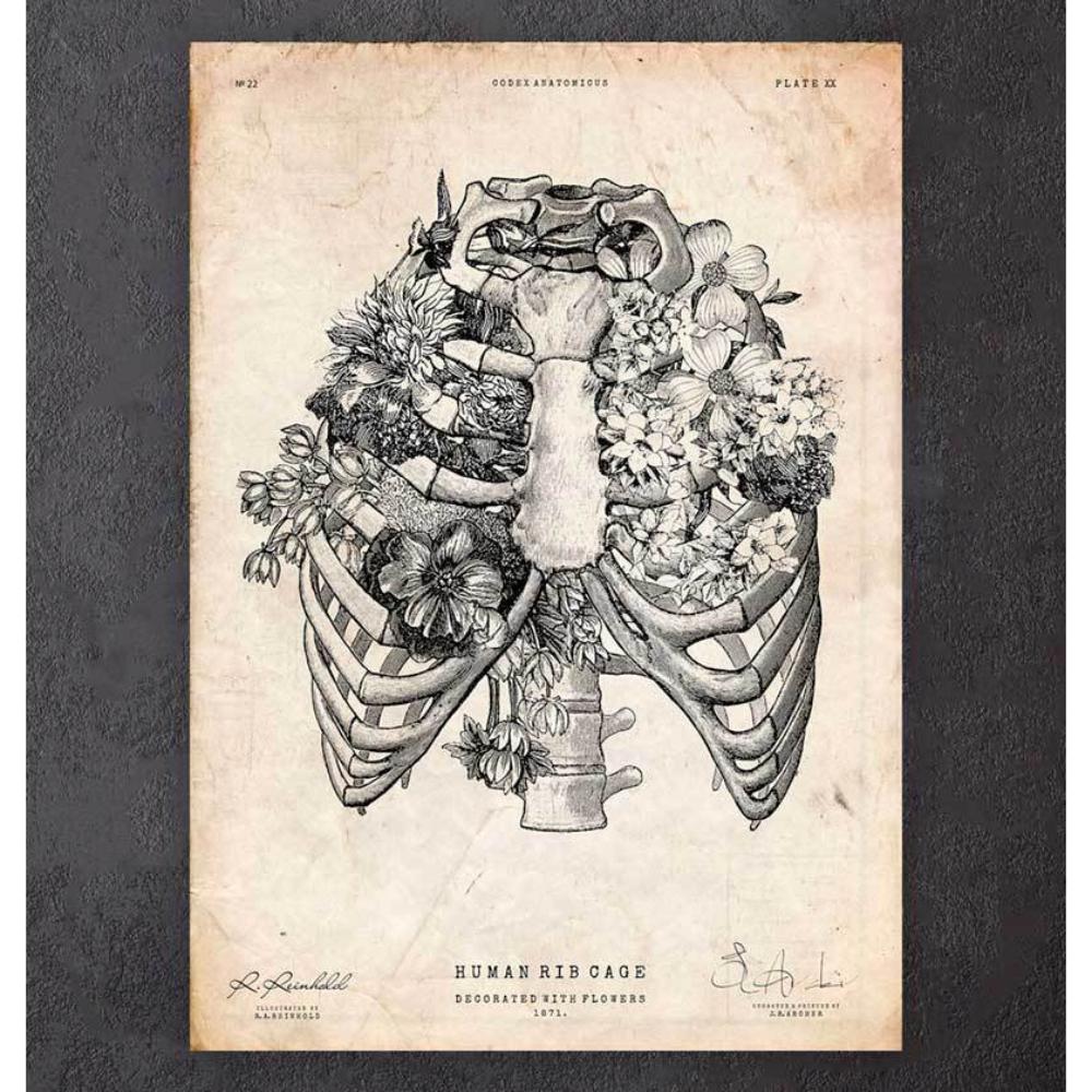 Rib Cage Print