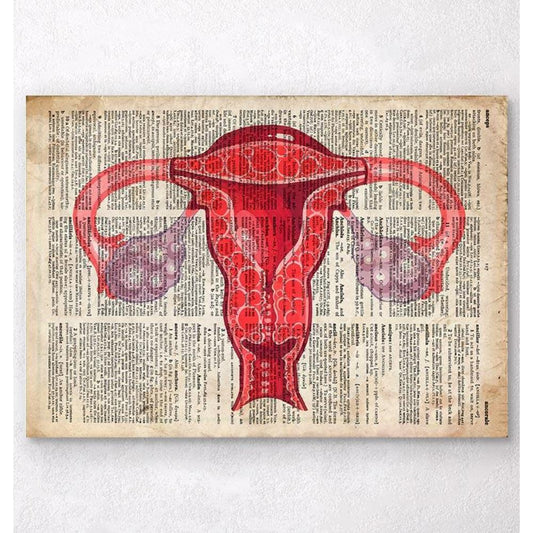 Uterus Anatomy Art Dictionary Print