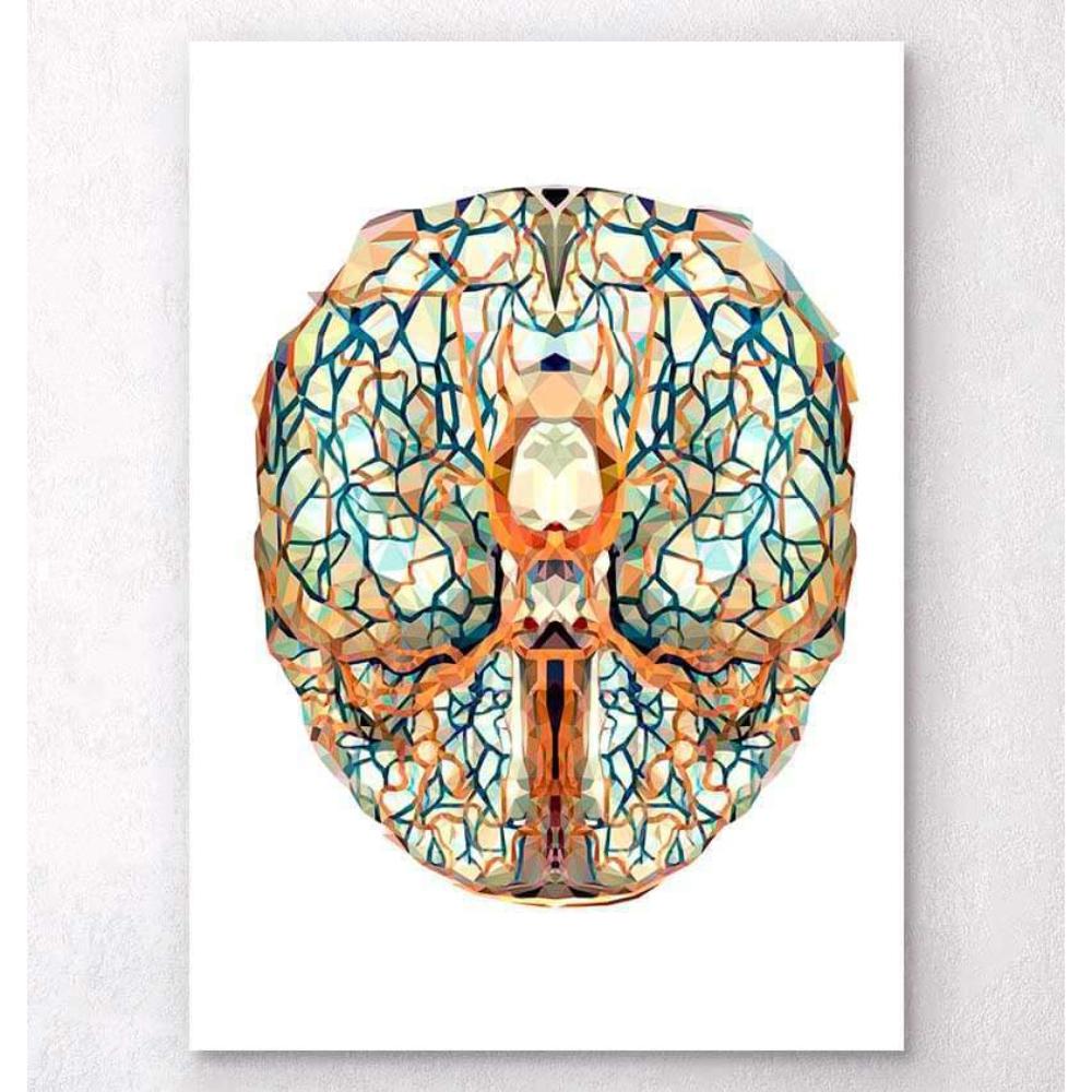 Geometrical Brain Anatomy I