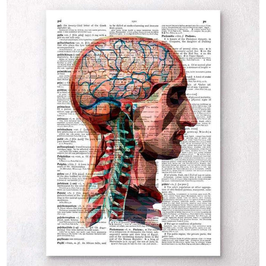 Geometric Head And Brain Dictionary Page