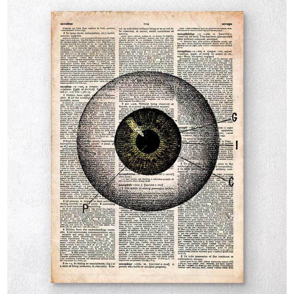 Eye Anatomy Old Dictionary Page