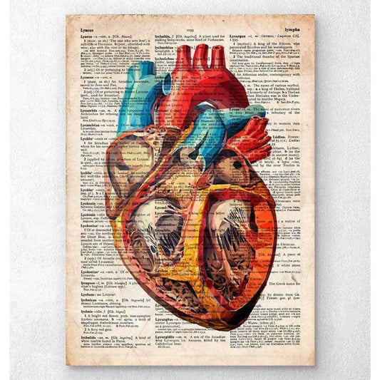 Geometric Heart Anatomy Old Dictionary Page