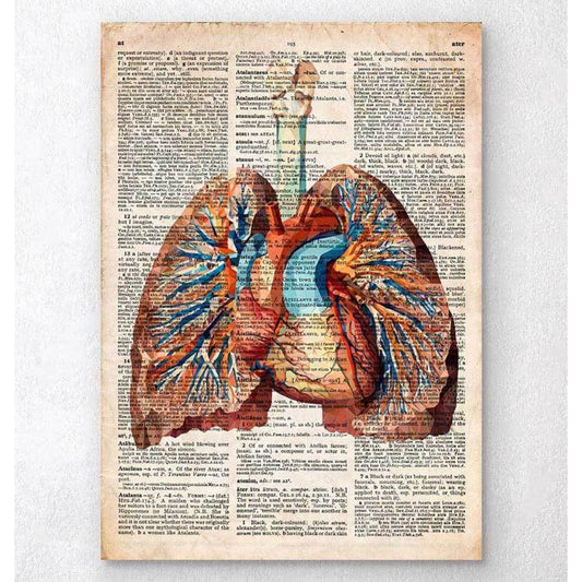 Geometric Heart And Lungs Old Dictionary Page