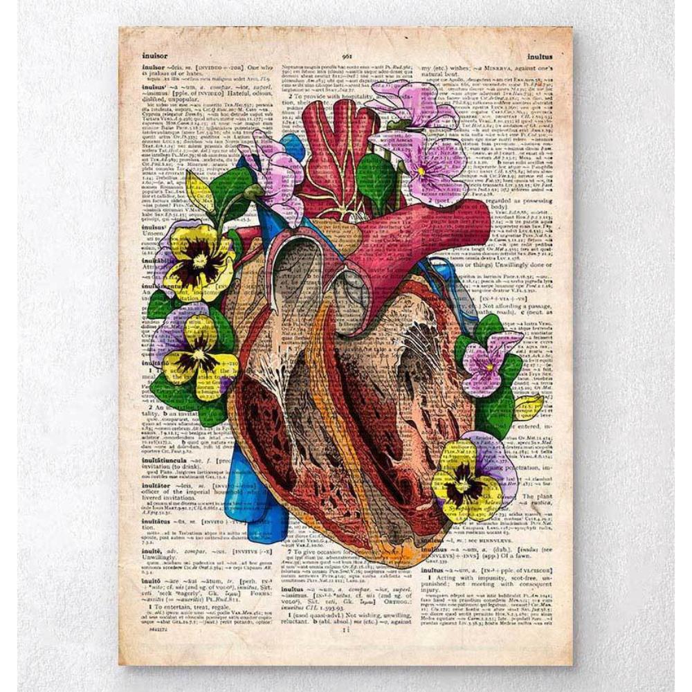 Floral Heart Anatomy II Old Dictionary Page