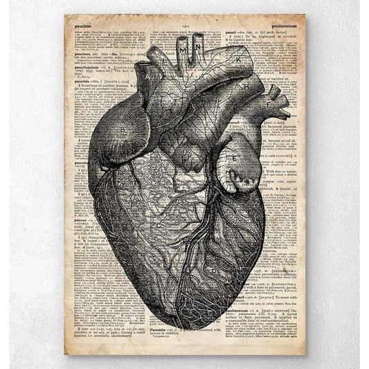 Heart Anatomy Old Dictionary Page
