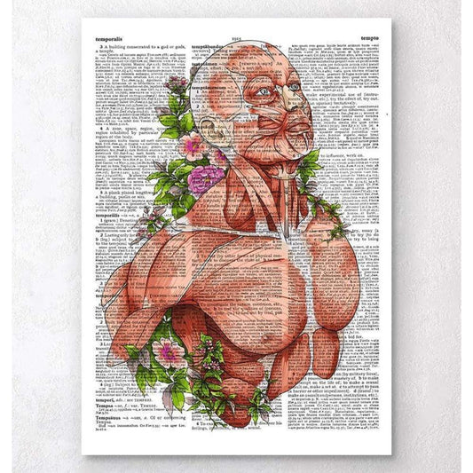 Male Body Anatomy Art Dictionary Page