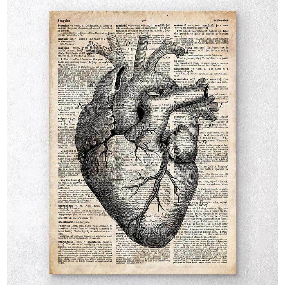 Heart Anatomy Art II Old Dictionary Page
