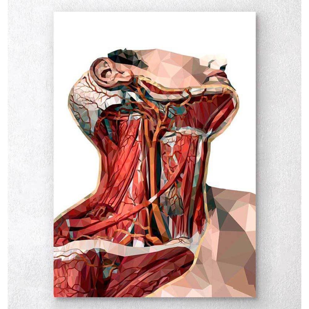Geometric Neck Anatomy Art