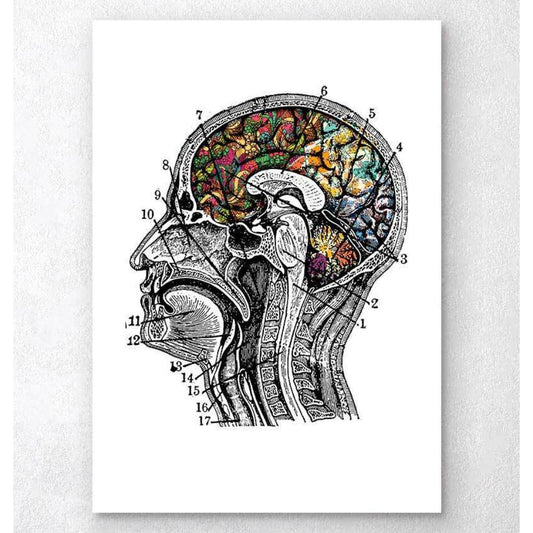 Floral Brain Art White Background