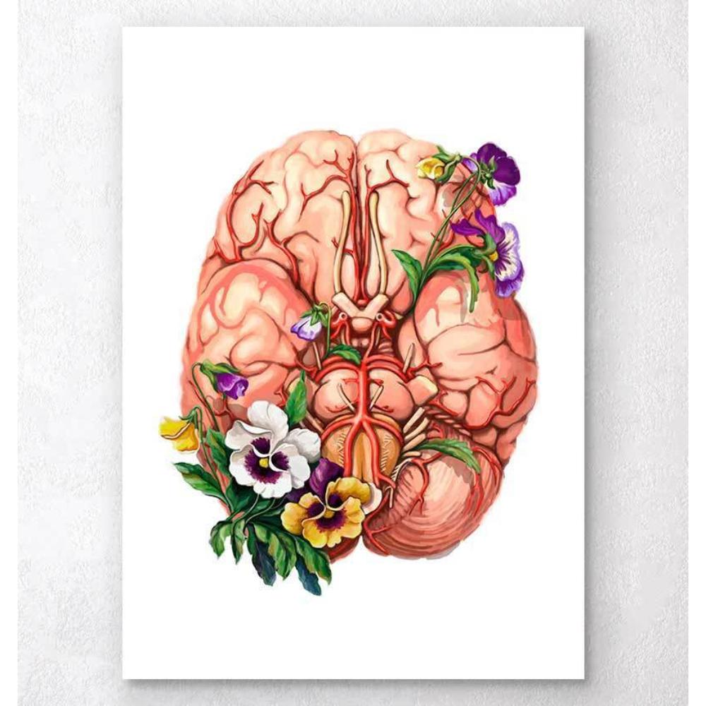 Brain Anatomy Floral