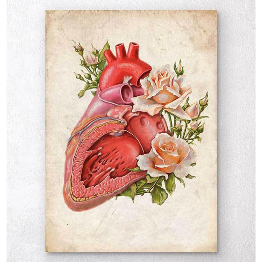 Heart Anatomy Floral Old Paper