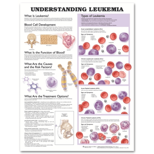 Understanding Leukemia Anatomical Chart